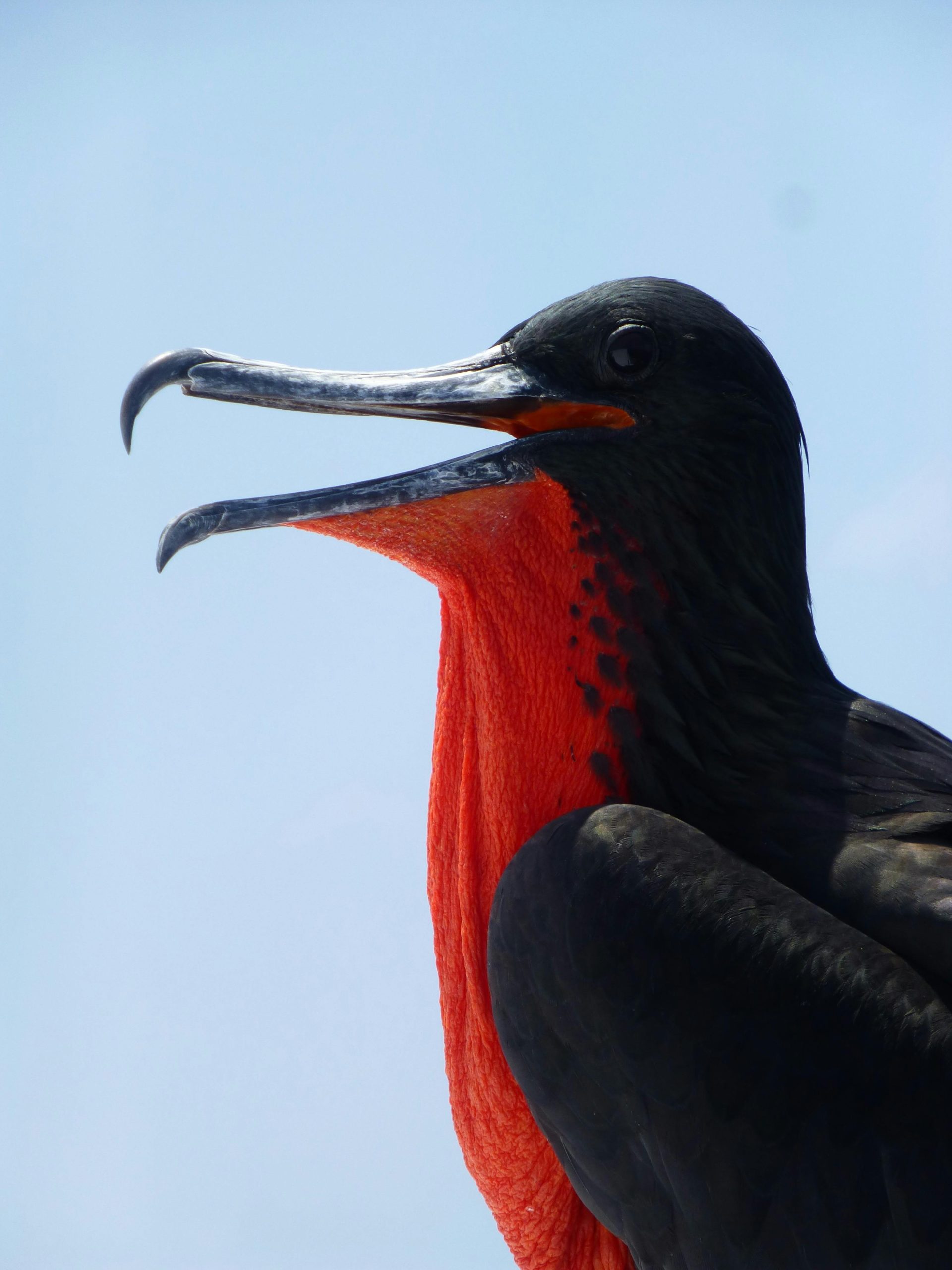 Galapagos Travel Tips Galapagos Entry Requirements