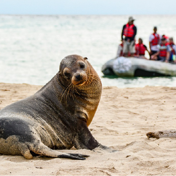 Ecuador Travel Agency Galapagos Cruise Specialist Local Tour Operator Quito