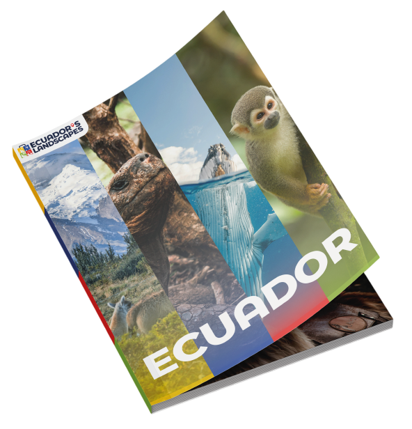 Ecuador Uncovered