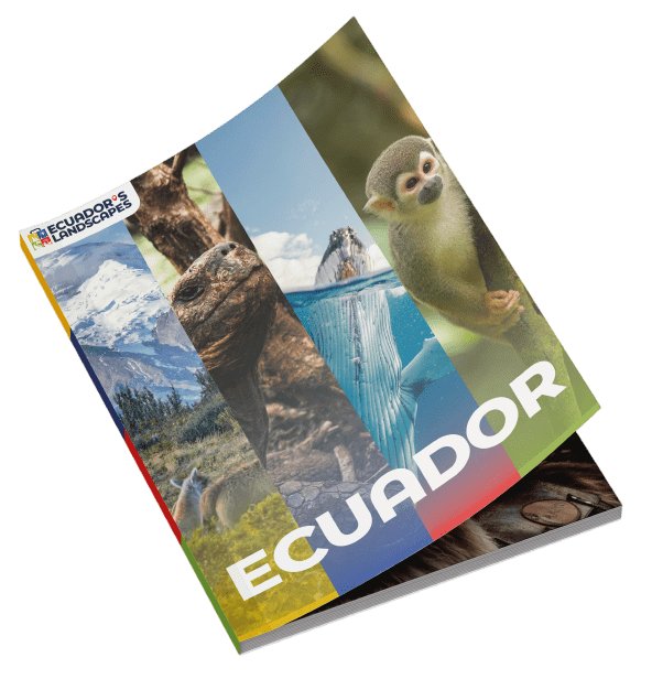 Ecuador Uncovered