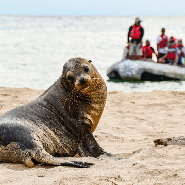Ecuador Travel Agency Galapagos Cruise Specialist Local Tour Operator Quito