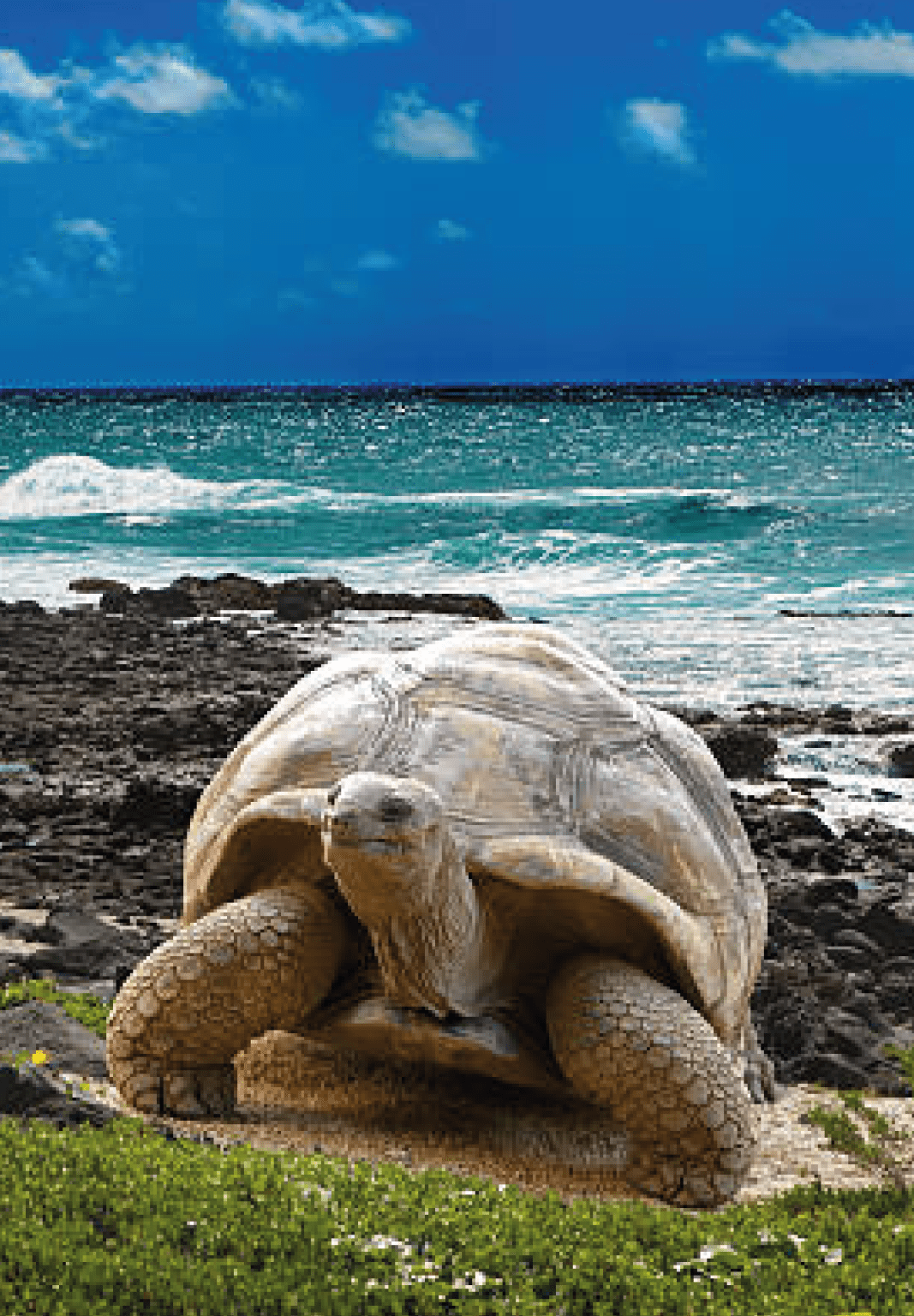 Ecuador Travel Agency Galapagos Cruise Specialist Local Tour Operator Quito