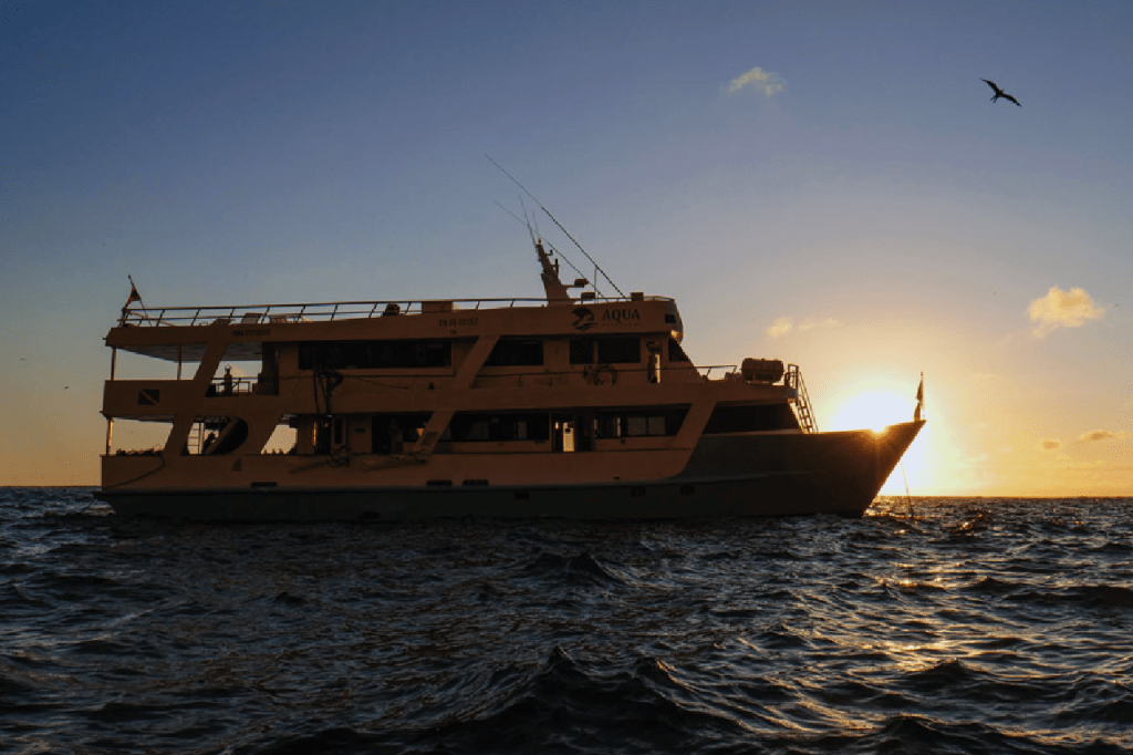 Galapagos Diving Liveaboard