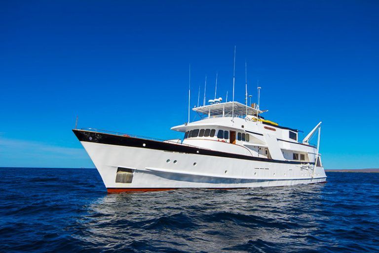 First Class Galapagos Cruises Superior Comfort Yachts
