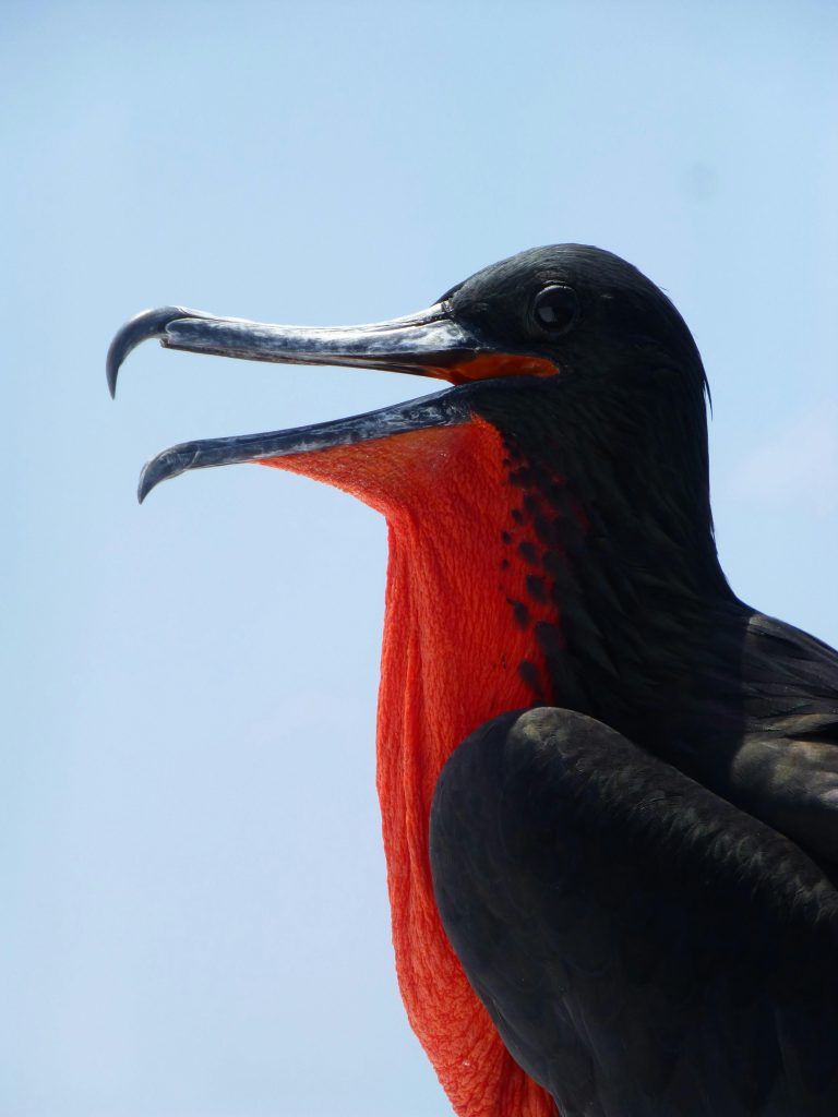 Galapagos Travel Tips Galapagos Entry Requirements