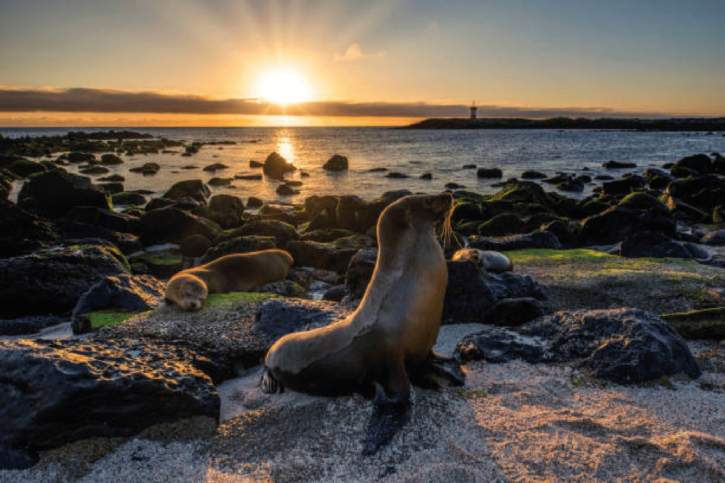 Galapagos Island Hopping