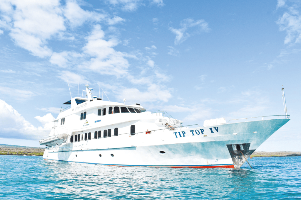 First Class Galapagos Cruises Superior Comfort Yachts