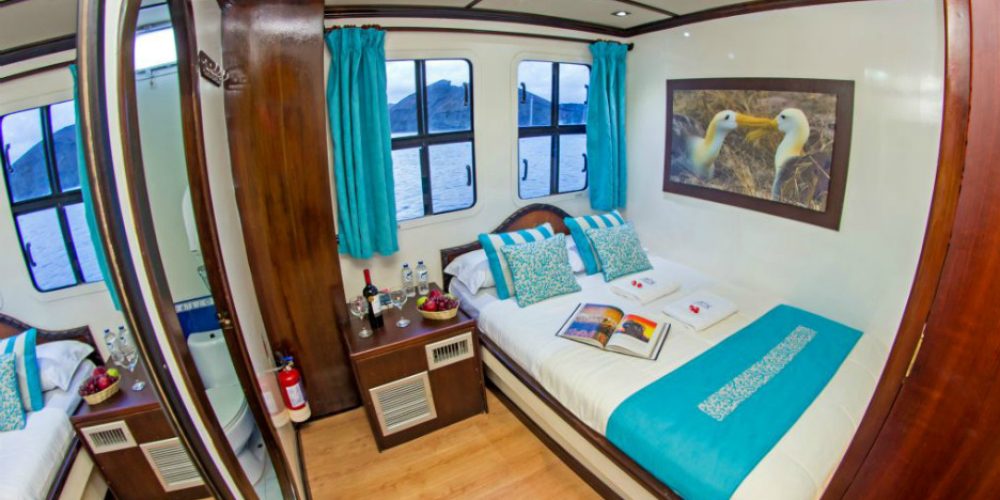 Stable Catamaran Buffet Food Service
