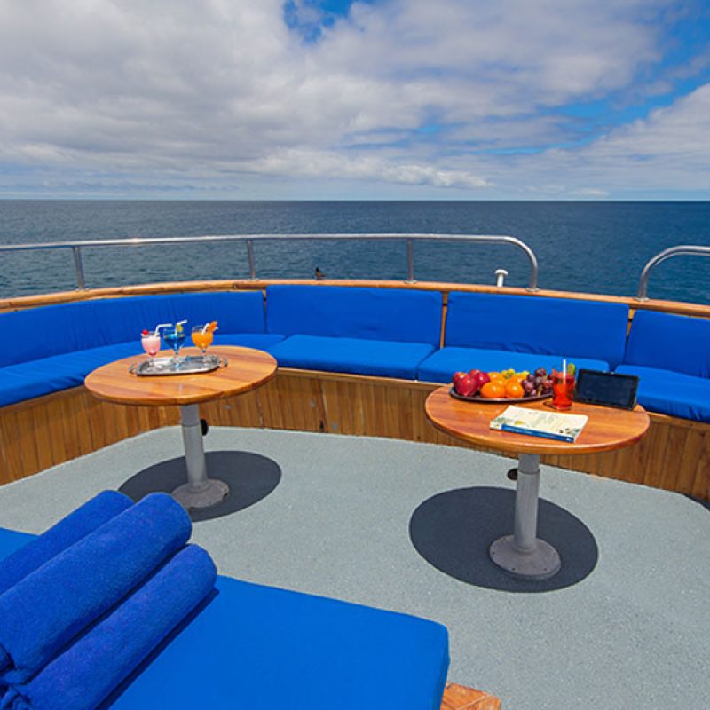 Beluga-exterior-enchanted-expeditions-03-1