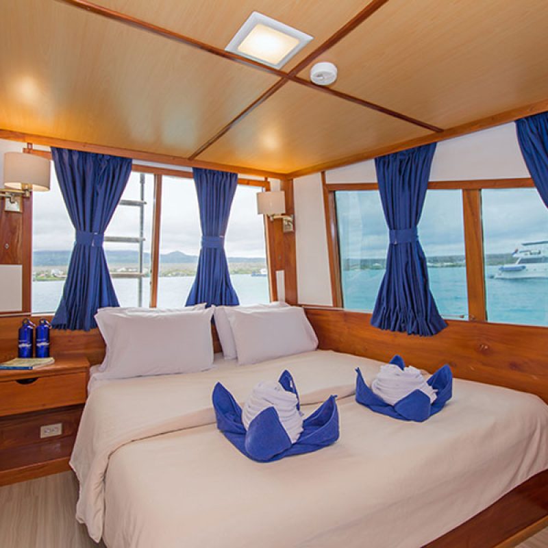 Beluga-interior-enchanted-expeditions-10-1