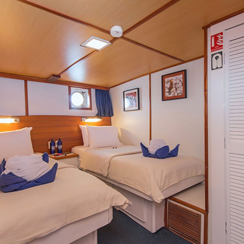 Beluga-interior-enchanted-expeditions-18-1