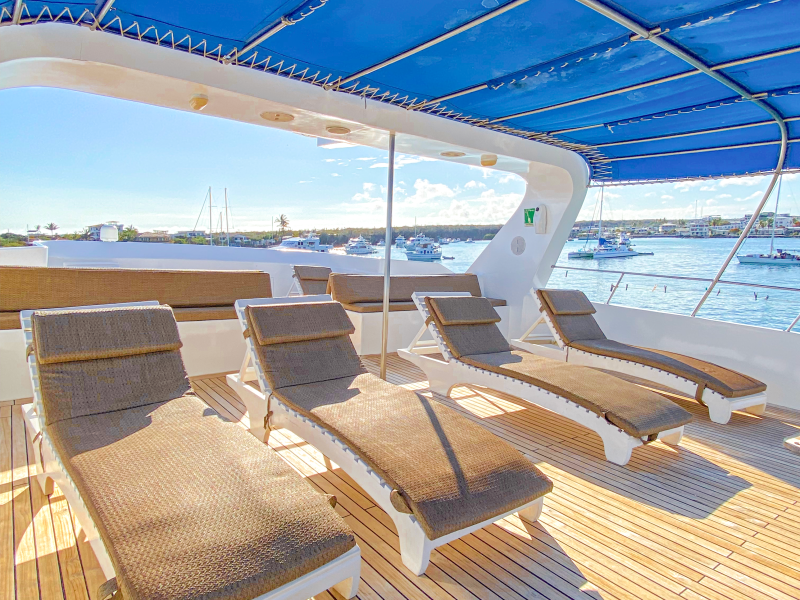SUN DECK T7TIV