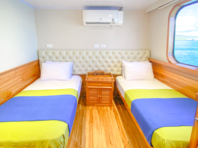 TWIN UPPER DECK TTIV