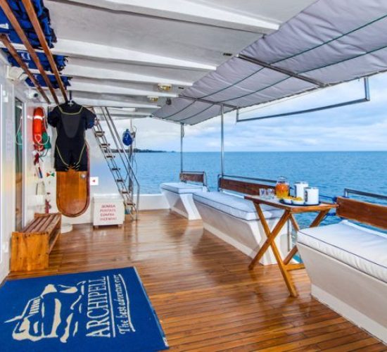 First Class Catamaran