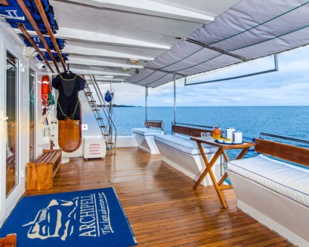 First Class Catamaran