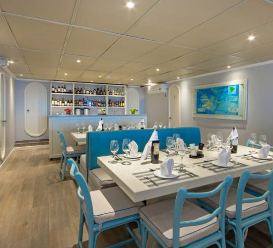 First Class Catamaran