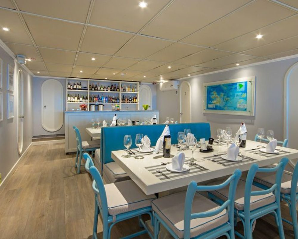 First Class Catamaran