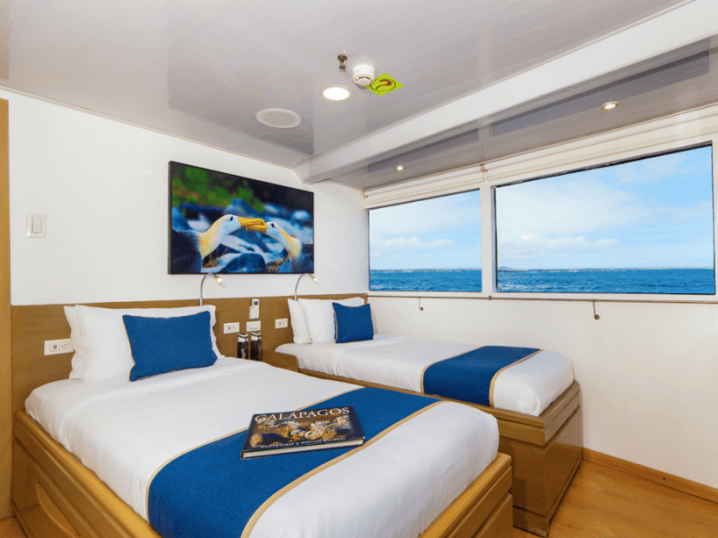 Luxury Liveaboard Darwin & Wolf Diving