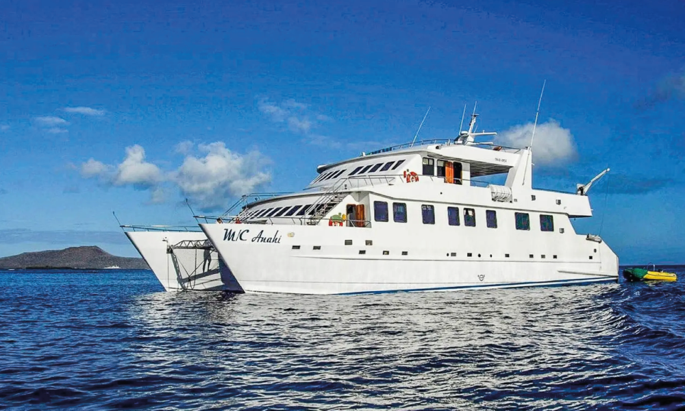 First Class Catamaran