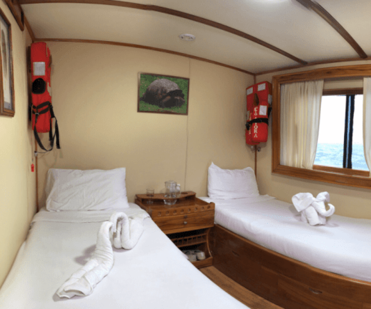Fragata Yacht Galapagos Superior Tourist Class Cruise