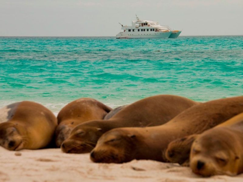 seaman journey