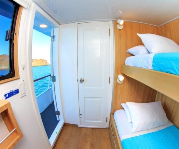 First Class Yacht