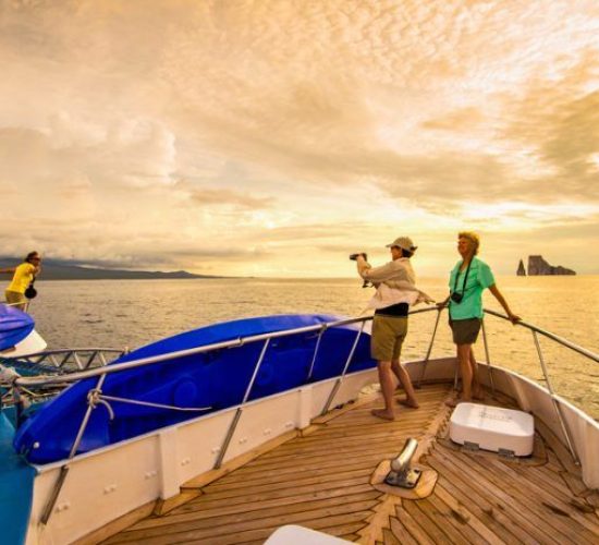 First Class Catamaran