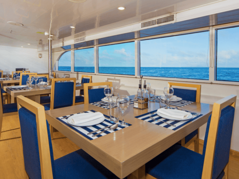 Luxury Liveaboard Darwin & Wolf Diving
