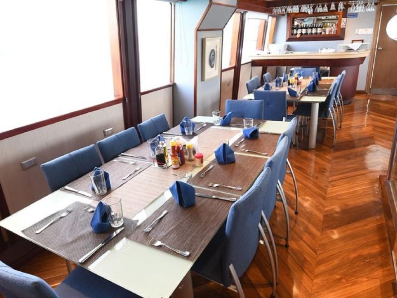 Humboldt Explorer Galapagos Experienced Dive Guides