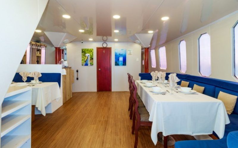 Galapagos Diving Liveaboard