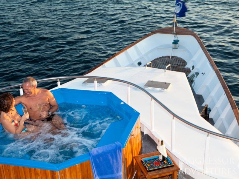 Liveaboard