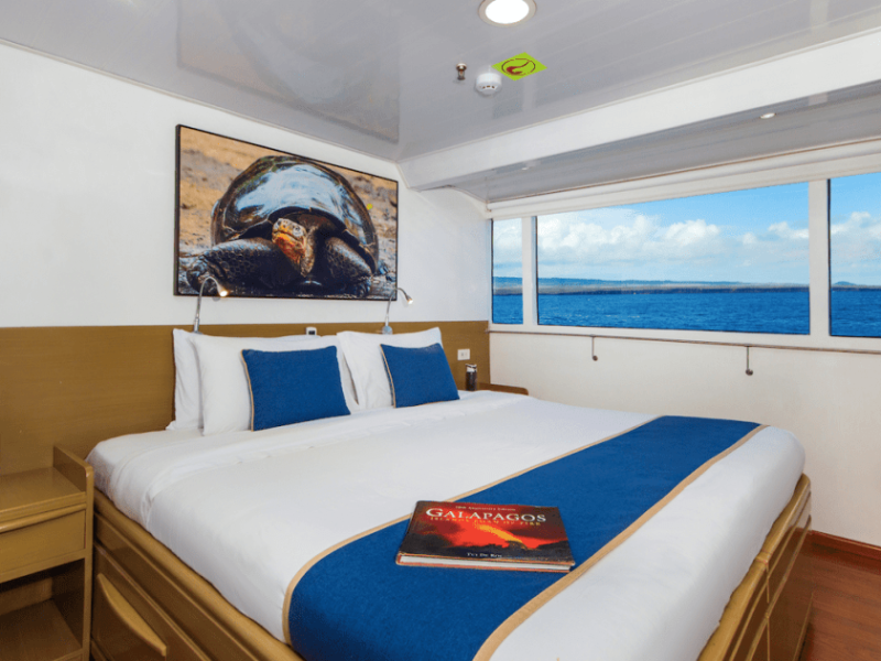 Luxury Liveaboard Darwin & Wolf Diving