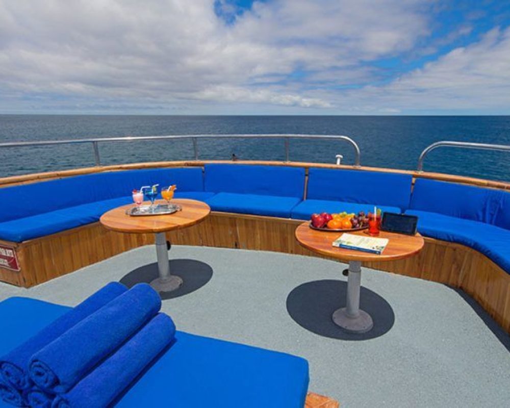 Superior First Class Smart Voyager Certified