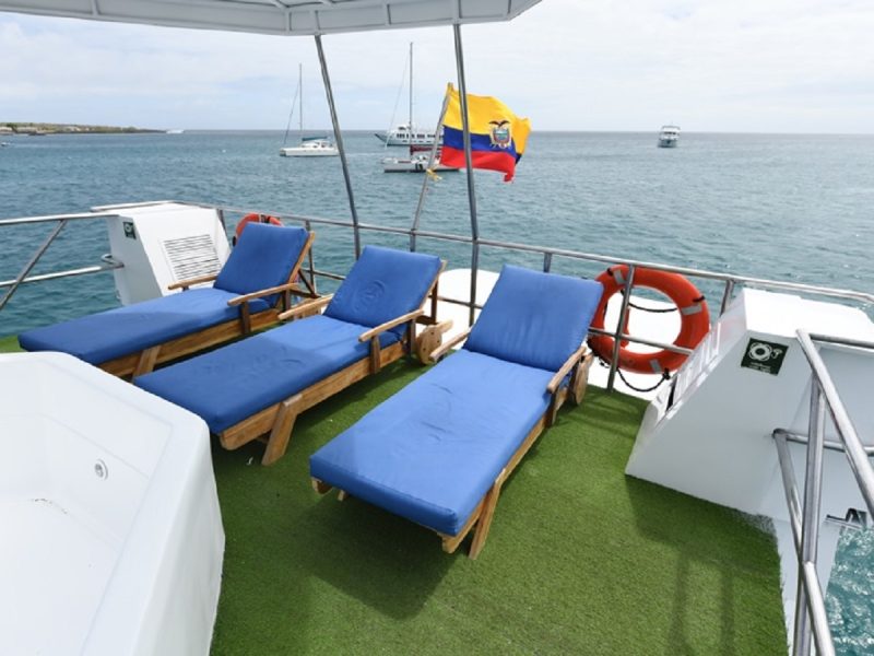 Humboldt Explorer Galapagos Experienced Dive Guides