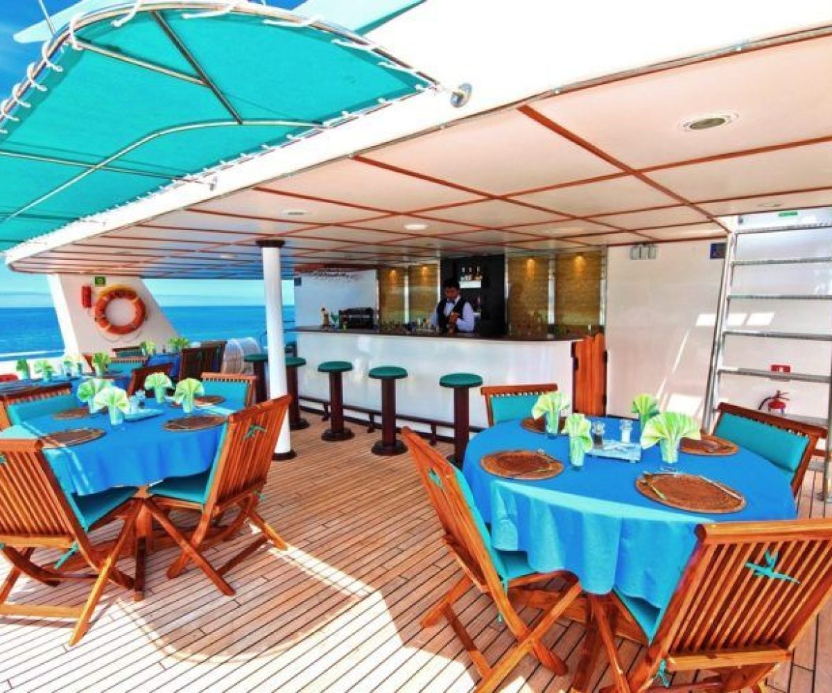 First Class Catamaran