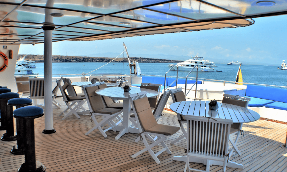 First Class Catamaran