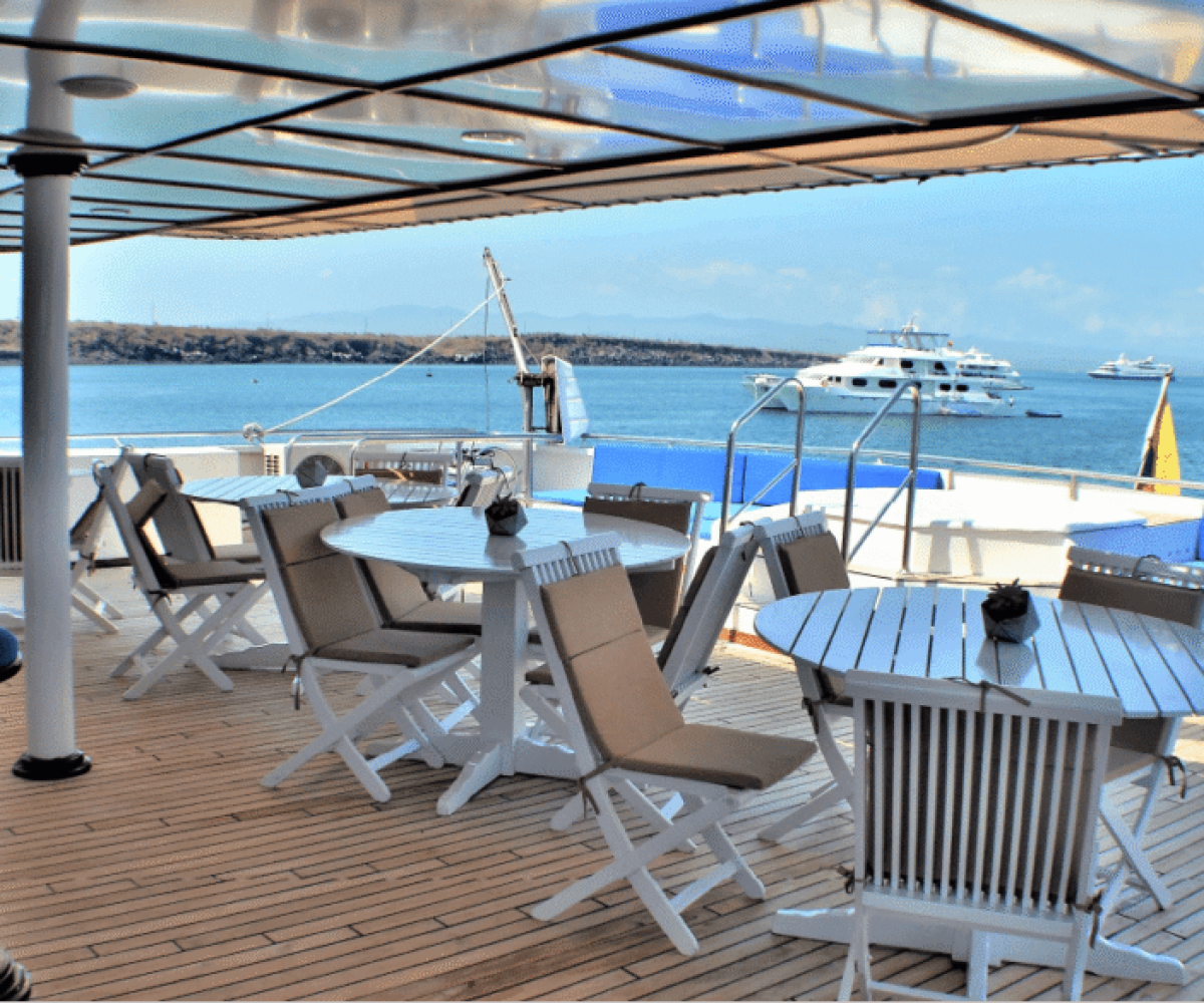 First Class Catamaran