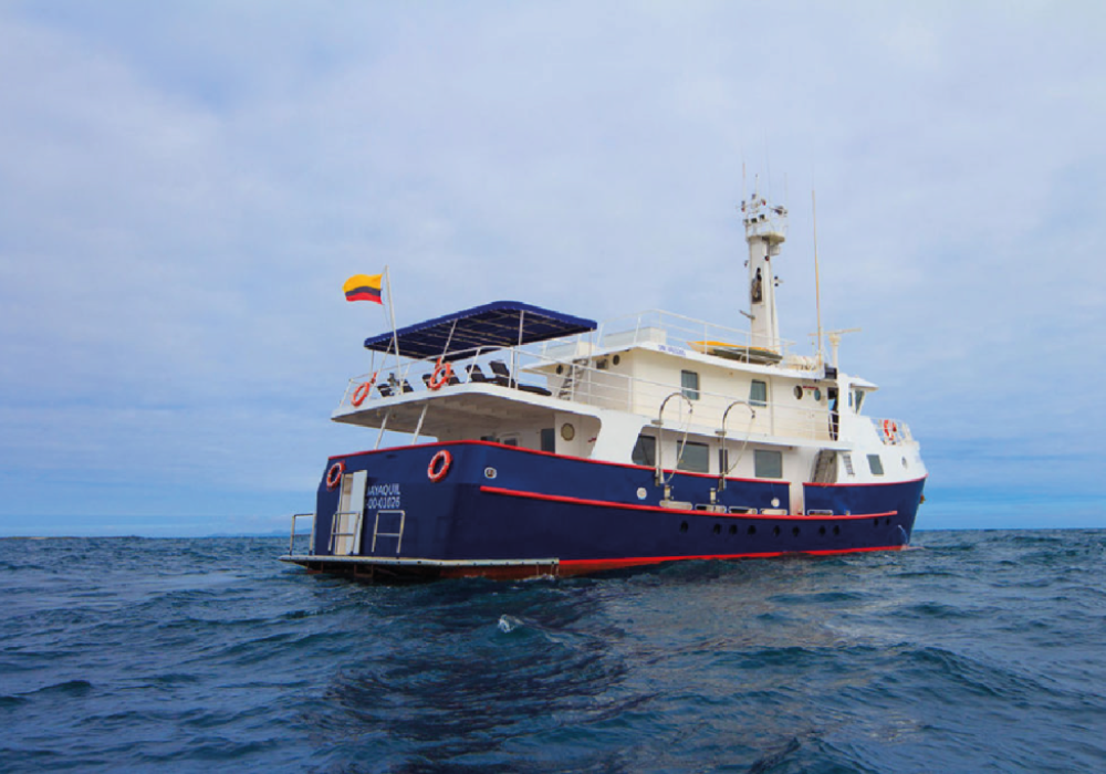 Cachalote Explorer First Class Yacht