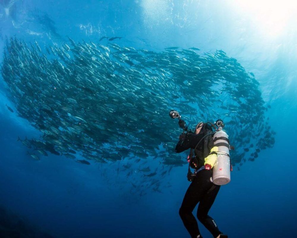 Galapagos Sky Liveaboard