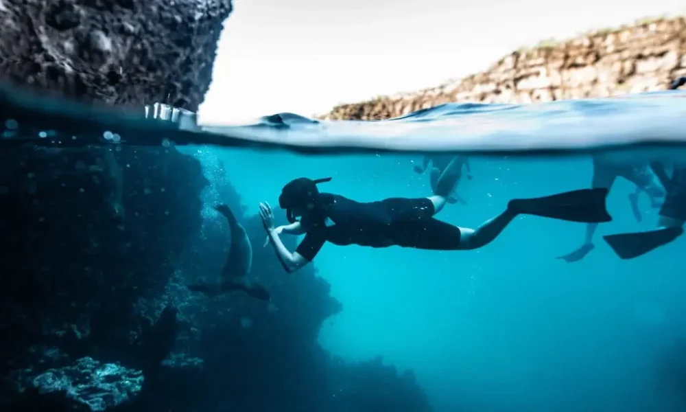 Isabela II Galapagos