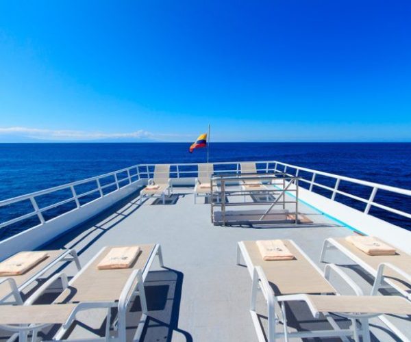 First Class Yacht