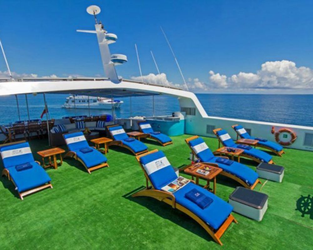 Stable Catamaran Buffet Food Service