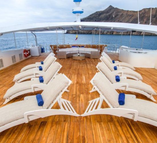 First Class Catamaran