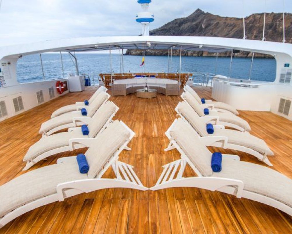 First Class Catamaran