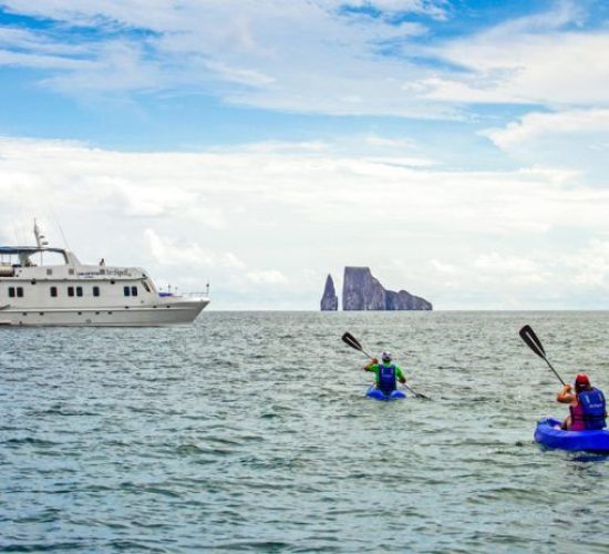 First Class Catamaran
