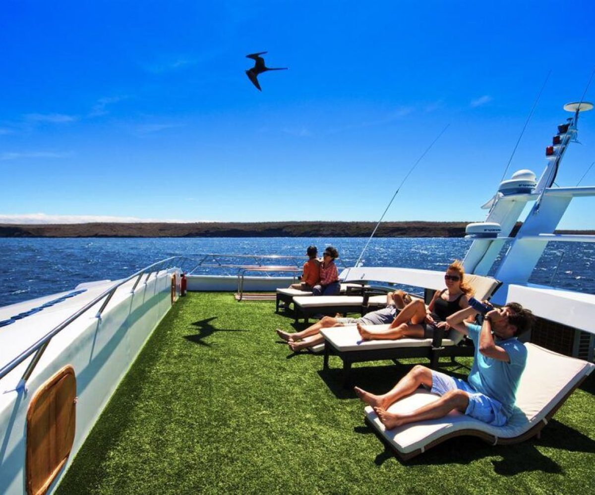 First Class Catamaran