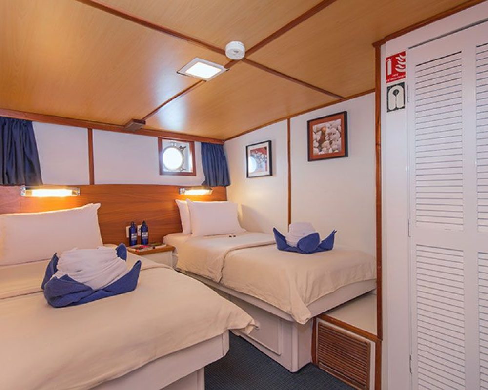 Superior First Class Smart Voyager Certified