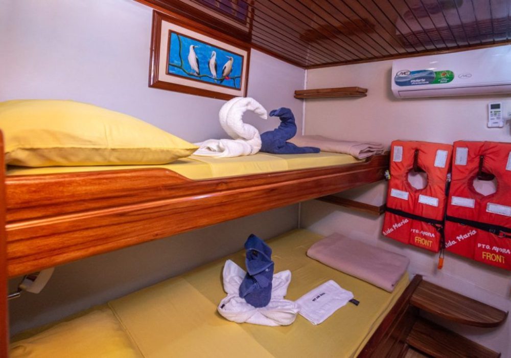 Charter Yacht Tourist Superior Class Naturalist Guide