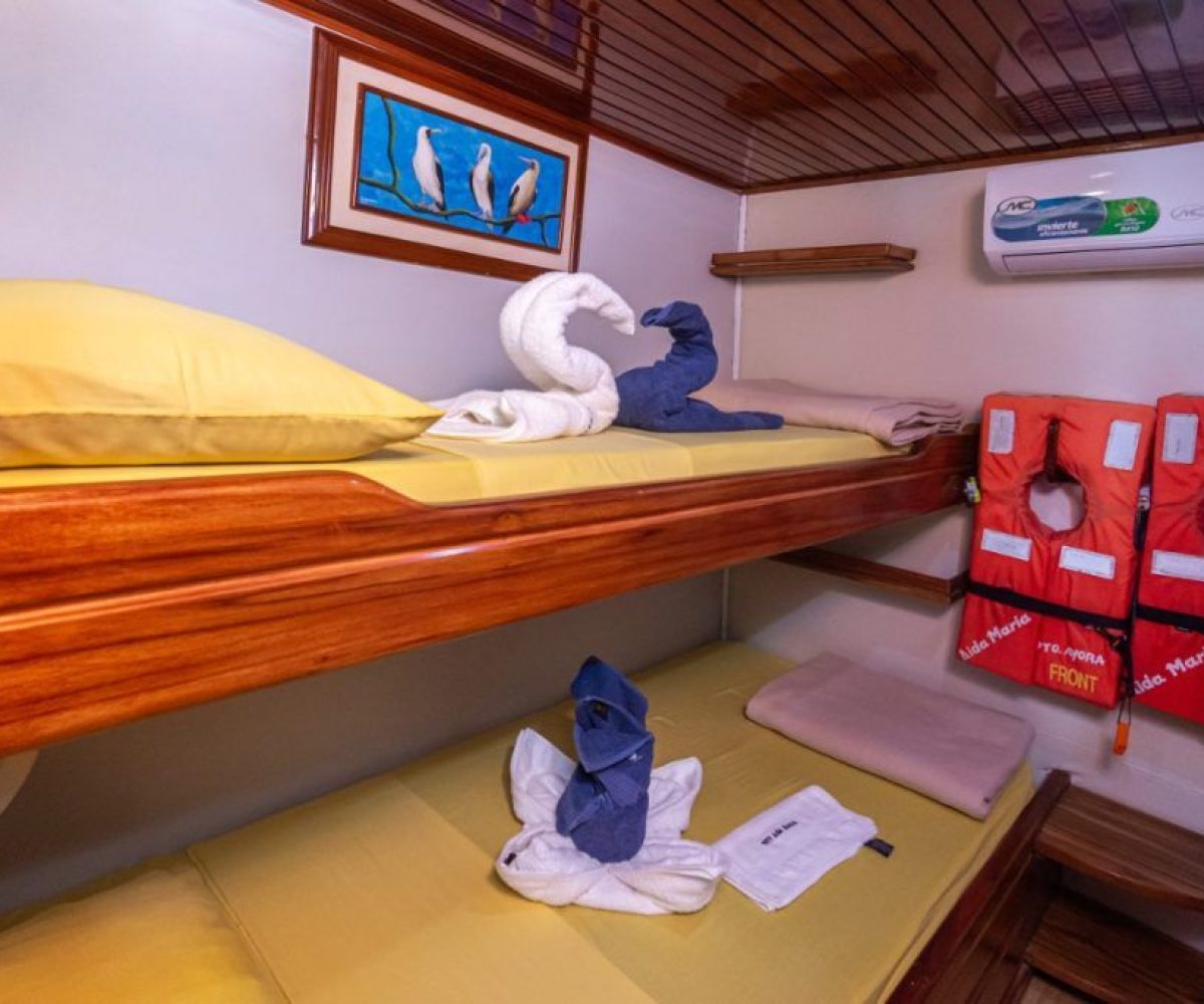 Charter Yacht Tourist Superior Class Naturalist Guide